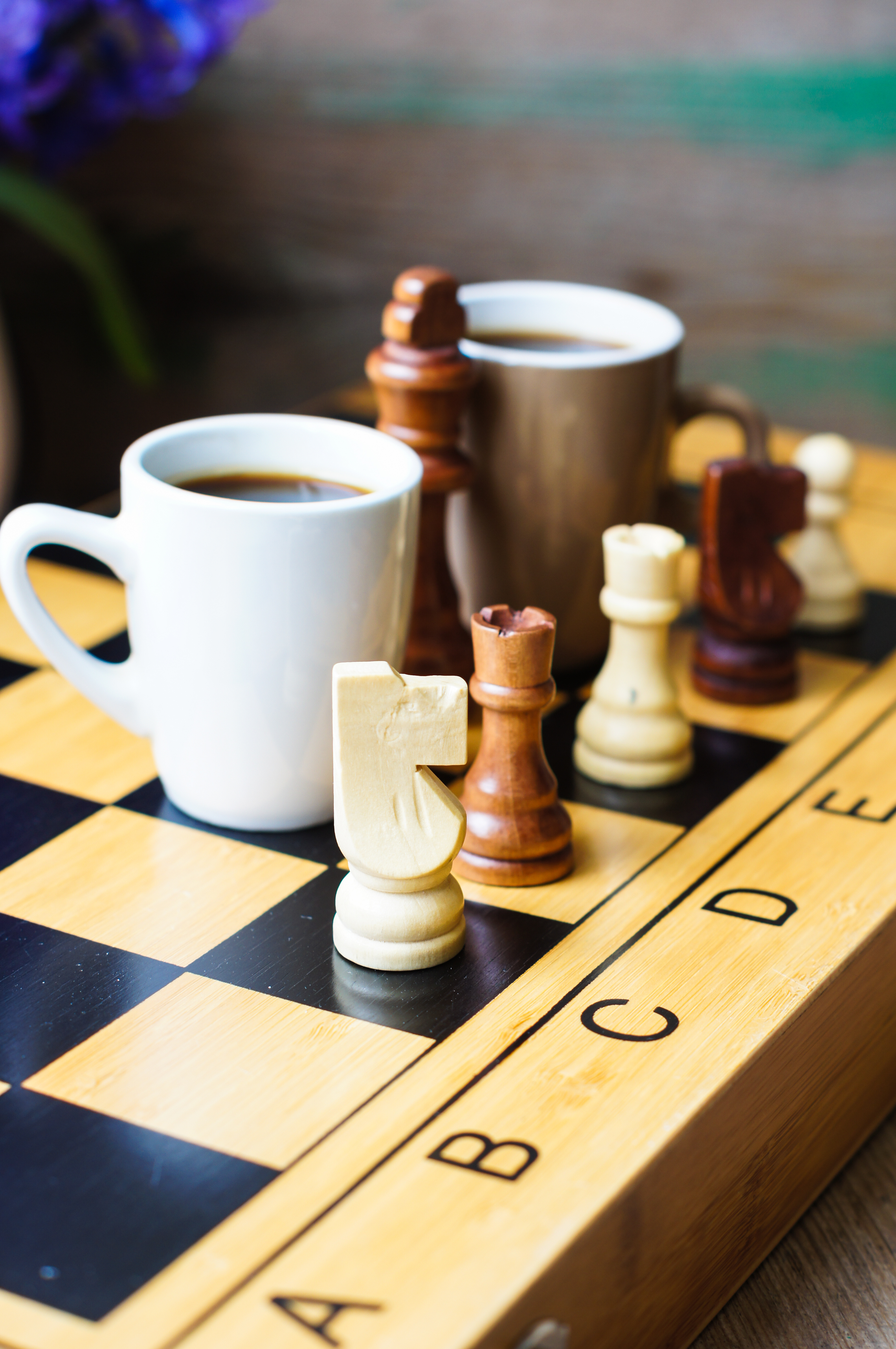 Cup of coffee on the chess board and first spring flowers Scylla