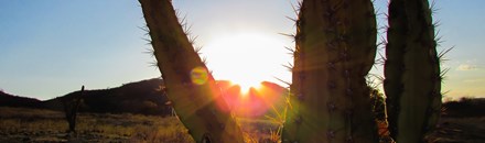 Cave Creek Regional Park