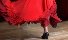 Los Gallos Flamenco Show