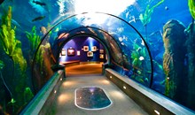 Oregon Coast Aquarium