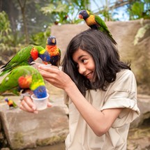 ZOO Planckendael