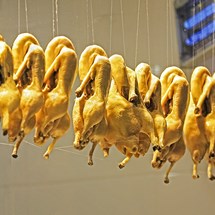 Han Fu Xing Salted Duck / 韩复兴盐水鸭