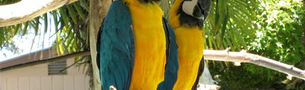 Charles Paddock Zoo