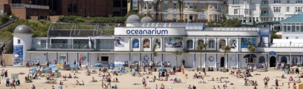Bournemouth Oceanarium