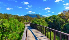 Mount Coolum National Park
