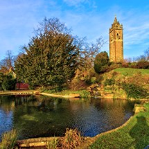 Brandon Hill Nature Park