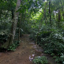 Cuc Phuong National Park