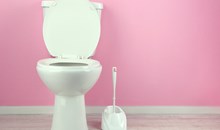 Sulabh International Museum of Toilets