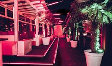 Pacha