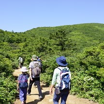 Mt. Kyogamori