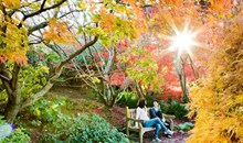 Blue Mountains Botanic Garden Mount Tomah