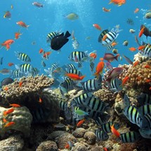 Galway Atlantaquaria — National Aquarium of Ireland