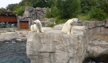 Hannover Adventure Zoo
