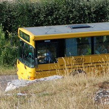 Buses