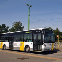 Public Transport