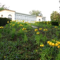 Burg Garden